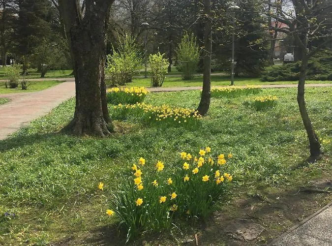 Mieszkanko Appartamento *