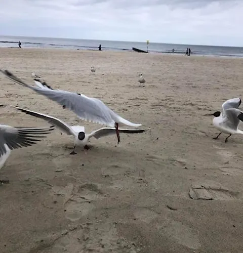 Mieszkanko * Kołobrzeg