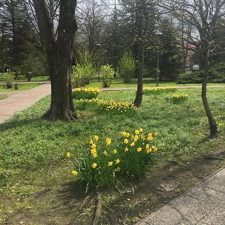 Mieszkanko Lejlighed *